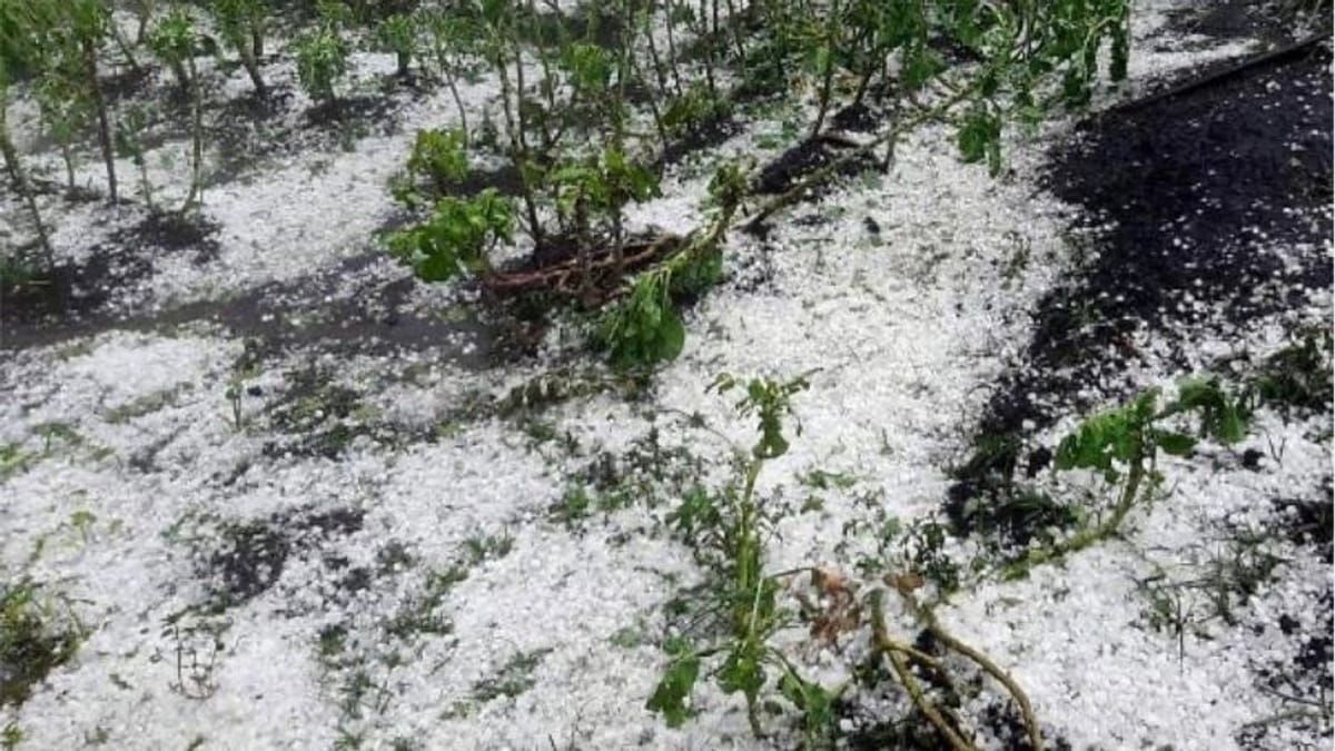 Inmet emite alerta de tempestade com granizo para MG e outros três Estados