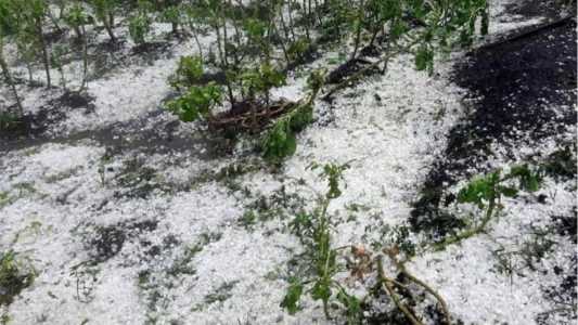 As chuvas de granizo voltaram a atacar várias regiões de Minas Gerais