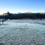Previsão do tempo: cidades de Minas amanhecem com névoa úmida e geada  