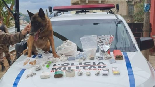As drogas foram encontradas com ajuda de cães farejadores