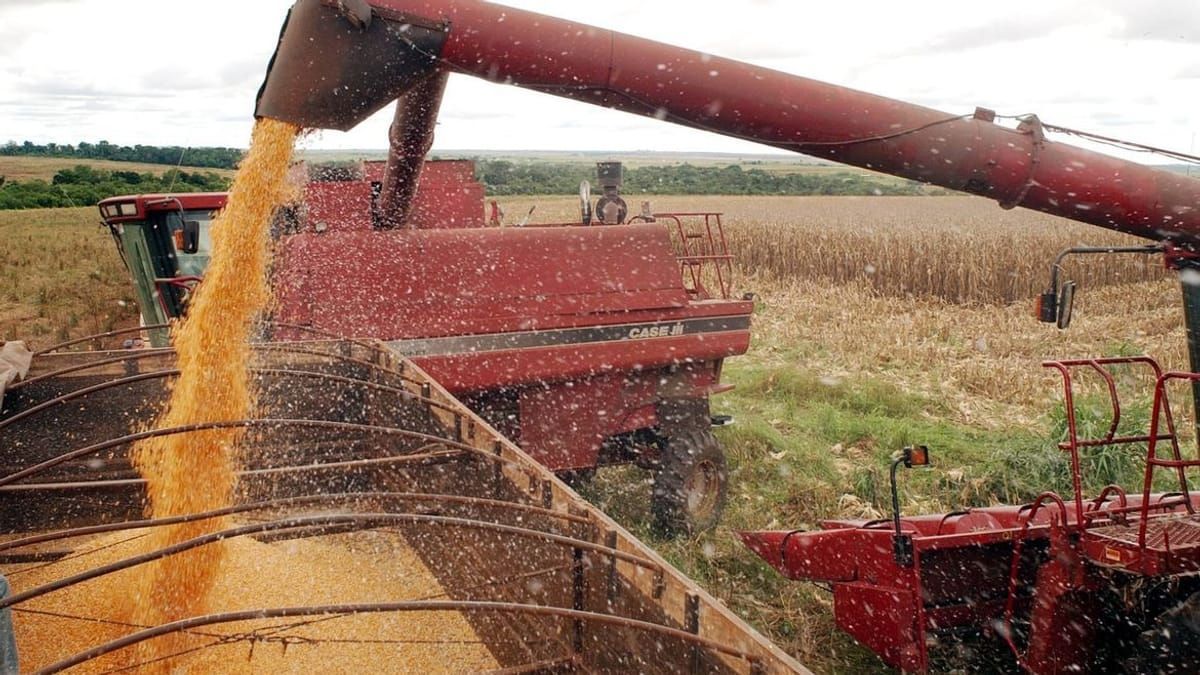 Brasil reforça protagonismo na exportação de alimentos