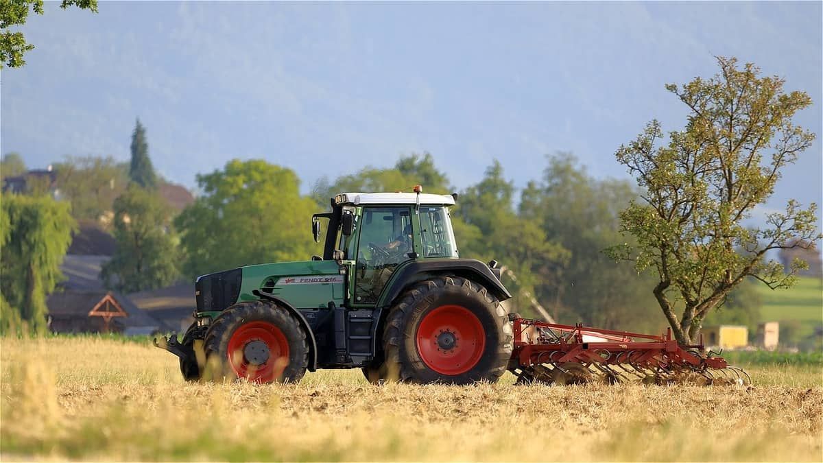 Dia do Trabalhador Rural: cinco competências para quem quer trabalhar no campo  
