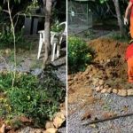 Polícia encontra corpo de homem enterrado em um buraco no jardim de sítio na Grande BH