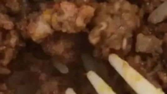 As larvas foram encontradas em um prato com carne moída