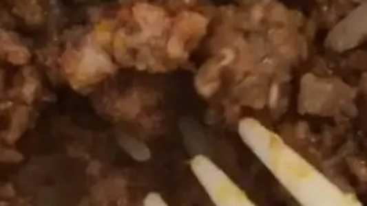 As larvas foram encontradas em um prato com carne moída