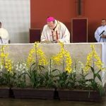 Semana Santa: confira programação da Arquidiocese de Belo Horizonte