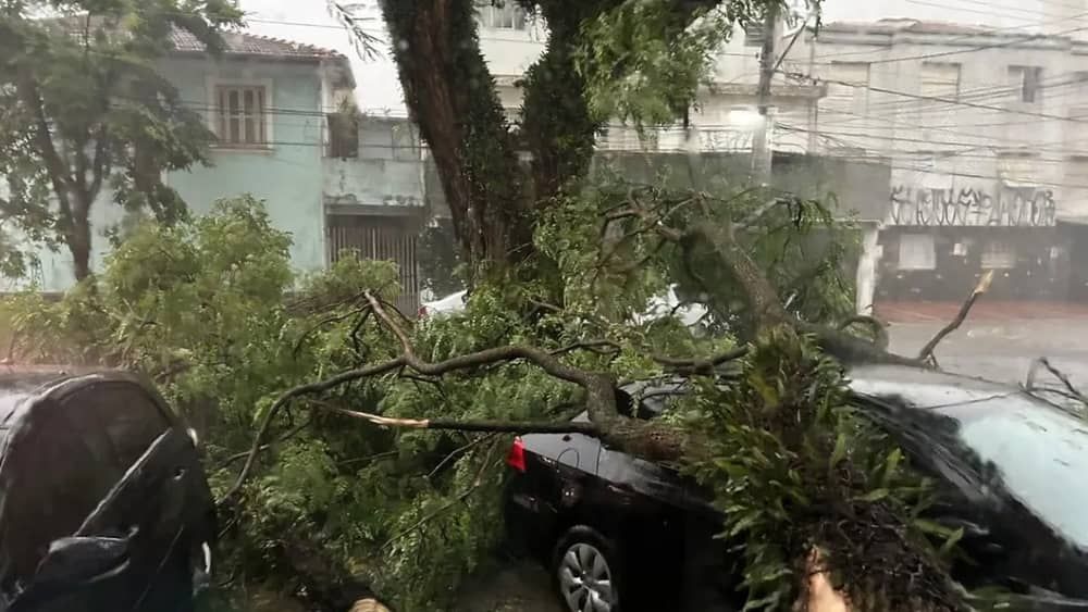 Chuva em SP deixa seis mortos; bairros ficam sem energia por horas
