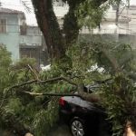 Chuva em SP deixa seis mortos; bairros ficam sem energia por horas