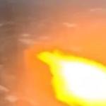 Vídeo: pássaro bate em avião com 173 pessoas a bordo e motor pega fogo