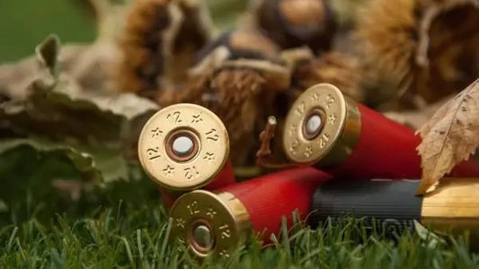 Na decisão, o juiz Iran Ferreira Sampaio não reconheceu o flagrante