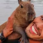 Após conceder guarda provisória, Justiça proíbe influenciador de gravar vídeo com capivara Filó