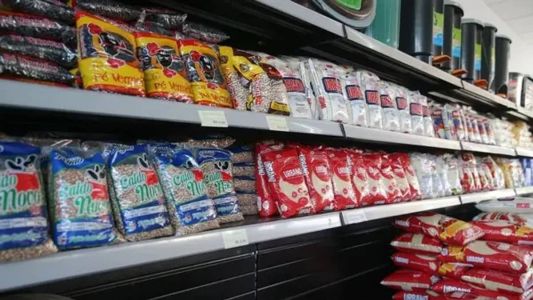 O valor de uma única cesta básica corresponde a quase 55% do salário mínimo atual