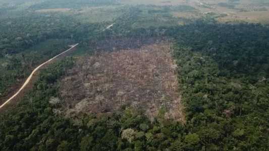 Em agosto de 2022, a área desmatada foi de 1.661 km², segundo a mesma medição oficial