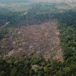 Desmatamento diminui 66% na Amazônia em agosto