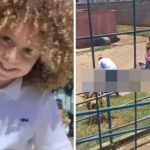 Veja tudo o que se sabe sobre o pai que matou o filho e tirou a própria vida em Minas