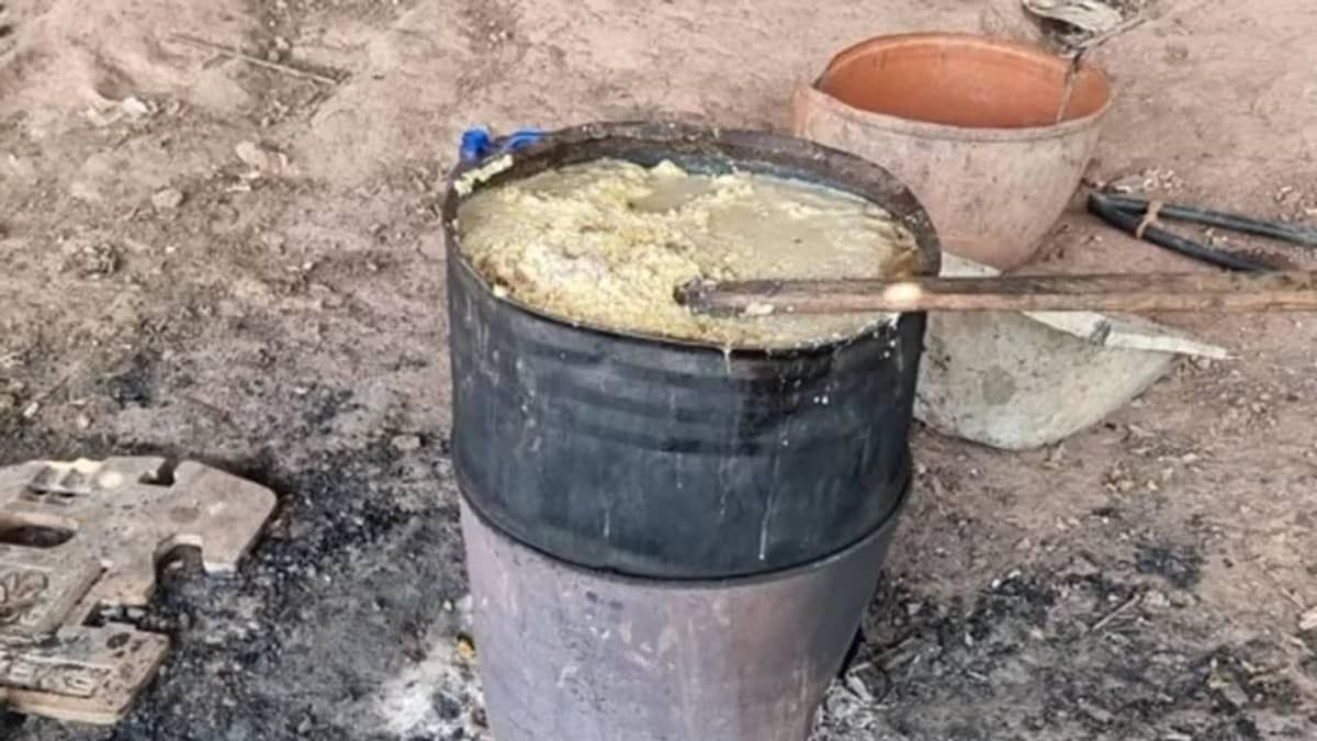 Homem é preso suspeito de matar onça e cozinhar carne do animal
