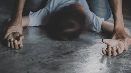 A legislação pretendia endurecer a anterior, eliminando os "abusos", com penas mais brandas, e convertendo todos os crimes sexuais em "agressões"