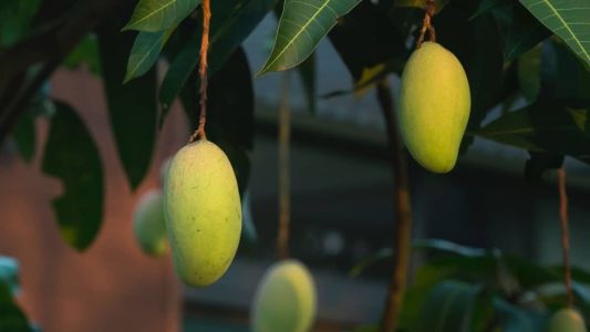 A vítima foi encontrada caída no chão com pelo menos três perfurações de arma de fogo