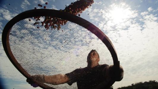 A lei 14.718/2023 foi publicada nesta sexta-feira (3), no Diário Oficial da União