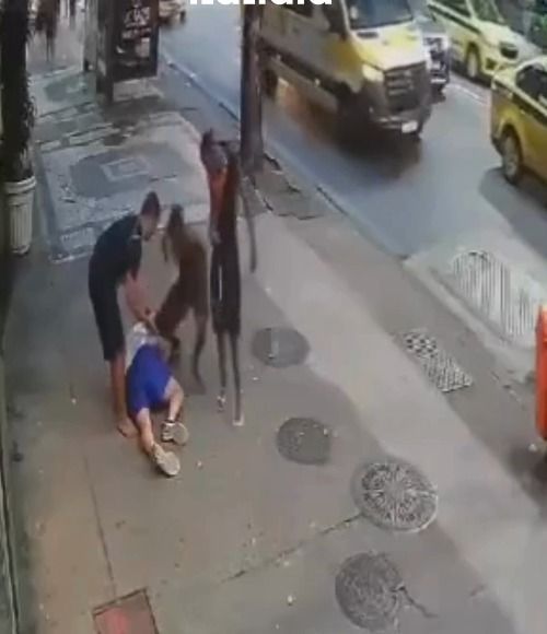 Vídeo: homem é agredido durante assalto no Rio de Janeiro