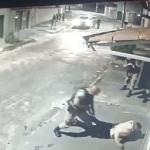 Vídeo: trio diz que queria comprar pinga, invade casa de idosos e um é preso pela PM em Contagem