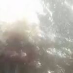 Suspeitos filmam assassinato de mulher suspeita de roubar bicicleta para comprar drogas