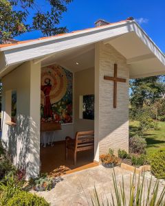 Assembleia aprova projeto que permite sepultar cães e gatos em jazigos de tutores em São Paulo