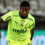 Palmeiras: Endrick brilha e marca 'gol de R$ 10,5 milhões' contra Botafogo