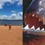 Ataque de piranhas em represa deixa seis turistas feridos no interior de SP