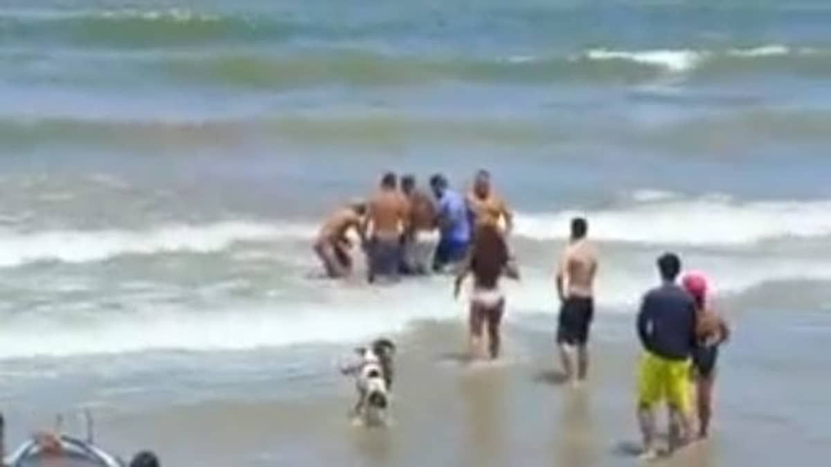 Adolescente perde parte do braço após ataque de tubarão em Recife; local é proibido para banho  