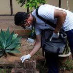 Prefeitura de BH afirma que compra de inseticida para combater dengue, zika ou chikungunya está 'finalizada'  