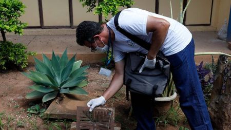 Até a chegada do inseticida outras ações de prevenção são realizadas em Belo Horizonte