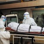 Nipah: 'Vírus mortal' causa dois óbitos e fecha escolas e escritórios no sul da Índia