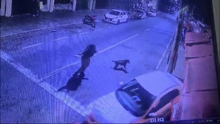 Foto mostra veículo que invadiu passeio em São João del-Rei (MG)