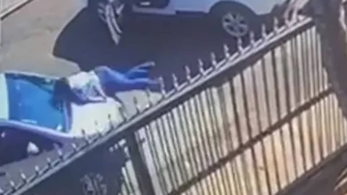 Vídeo: advogado que atropelou mulher após briga no trânsito é condenado a 11 anos de prisão