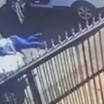 Vídeo: advogado que atropelou mulher após briga no trânsito é condenado a 11 anos de prisão
