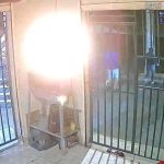 Vídeo flagra atropelamento em BH e expõe contradição na versão de motociclista