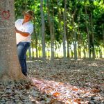 Silvicultores iniciam beneficiamento do mogno africano   