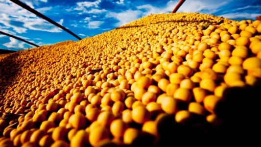 Atualmente, ocupamos a 4ª posição, atrás também dos Estados Unidos e China, os primeiros colocados. 