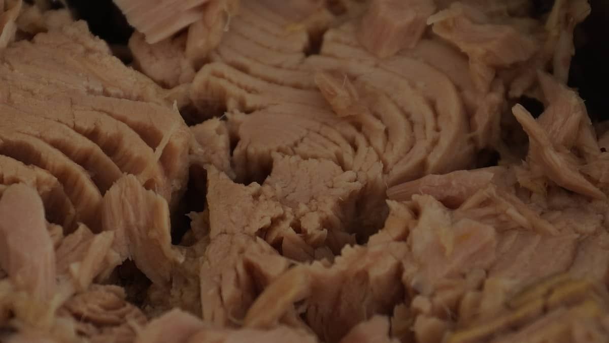 Lote de atum ralado da marca Cellier tem venda proibida pela Anvisa