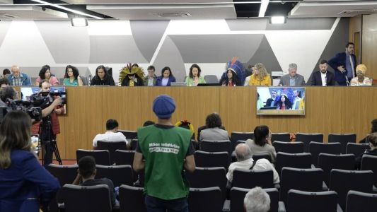 Audiência pública contou com a presença da ministra dos Povos Indígenas, Sonia Guajajara (PSOL)