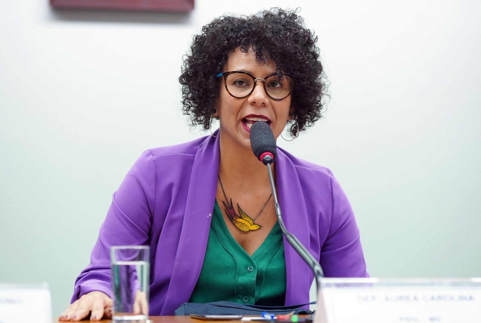 Áurea diz que seria ‘sonho’ para eleitorado poder votar nela e em Marília para o Senado