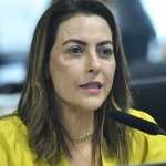 Avança no Senado projeto que estabelece marco temporal para demarcação de terras indígenas