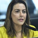 Avança no Senado projeto que estabelece marco temporal para demarcação de terras indígenas