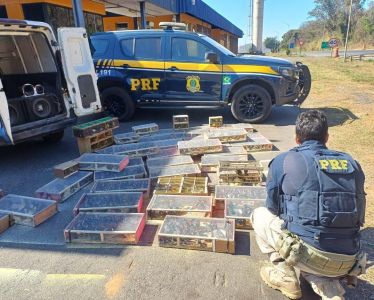 Recinto de Imersão.jpg