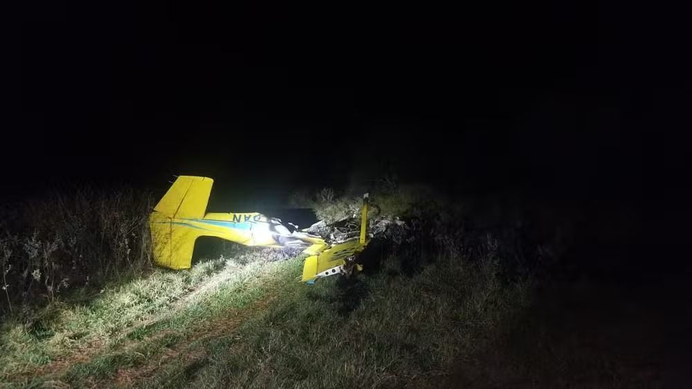 Avião cai no Pantanal e mata um dos principais arquitetos do mundo e cineasta brasileiro