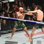 Lutador brasileiro terá revanche contra lenda do UFC pelo cinturão