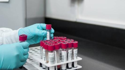 Bactéria compromete principalmente pele e nervos periféricos, podendo deixar sequelas quando não há tratamento precoce,
