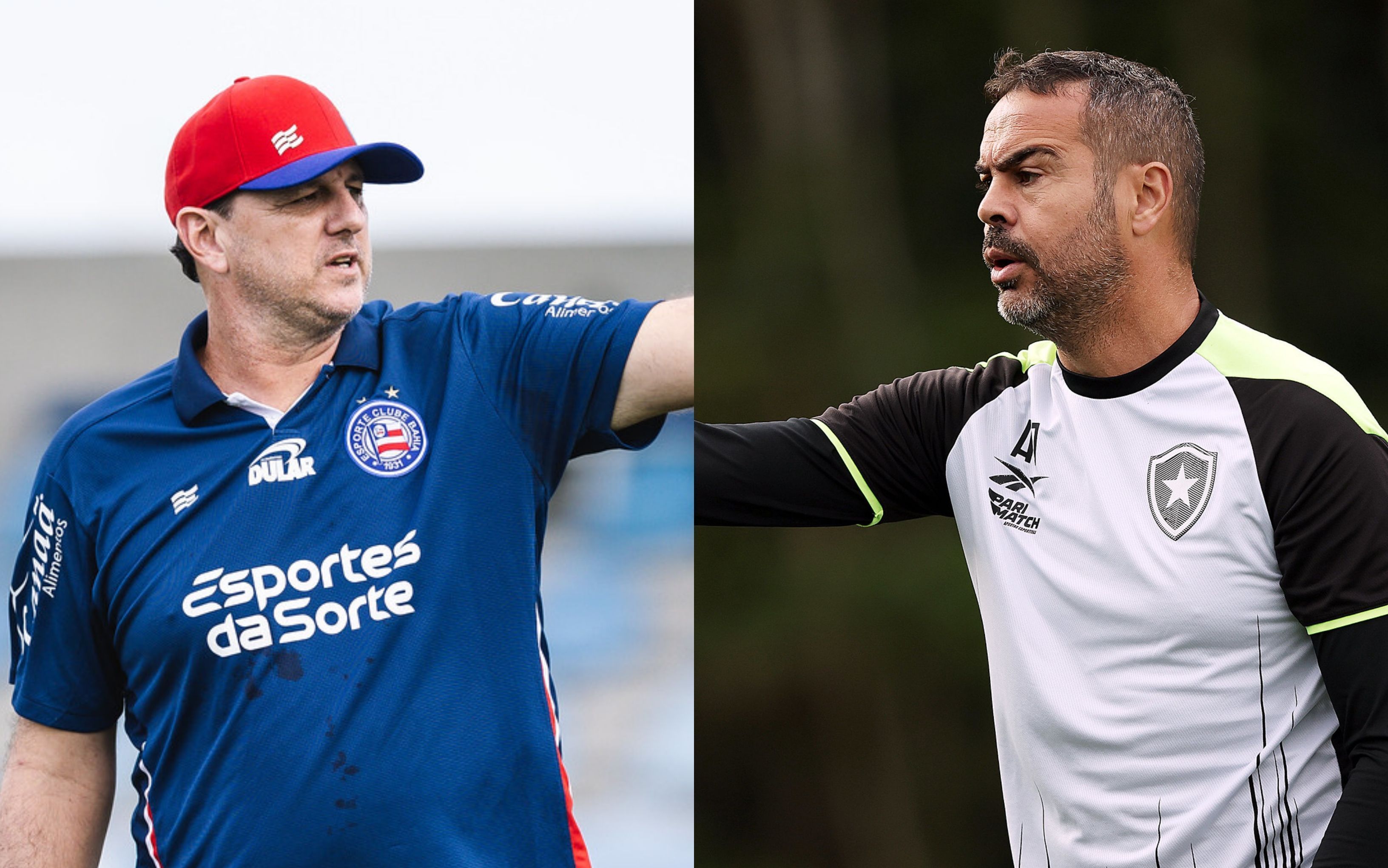 Bahia x Botafogo: veja prováveis escalações para decisão na Copa do Brasil