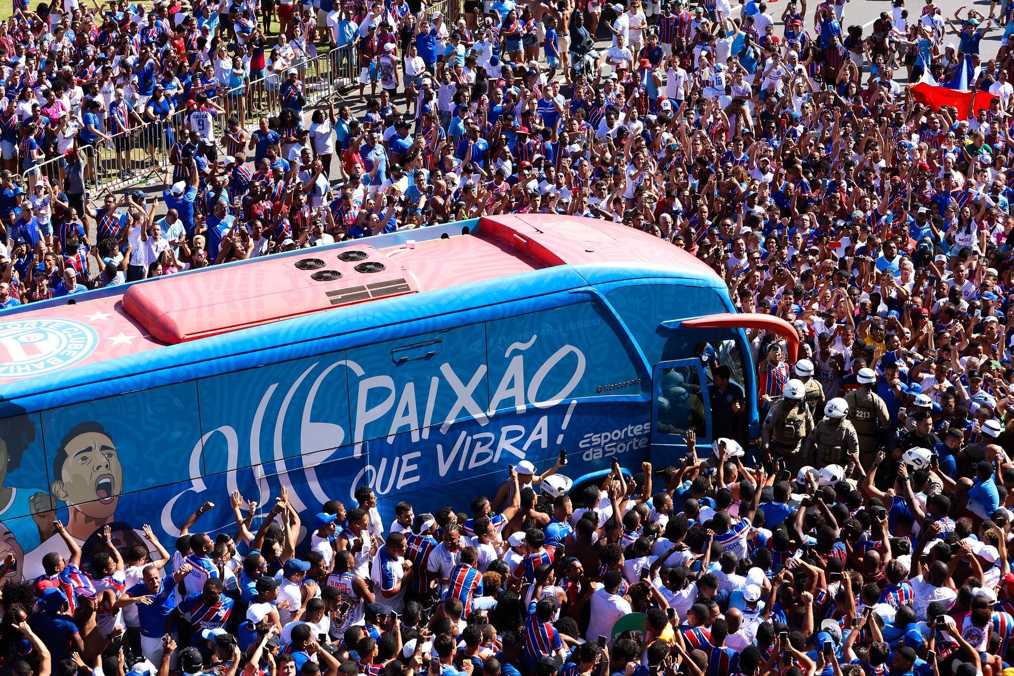 Renda líquida: veja quanto Bahia lucrou com bilheteria no Brasileirão de 2024
